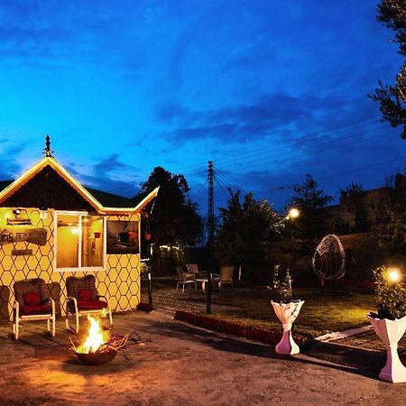 Republika Central Mansehra المظهر الخارجي الصورة