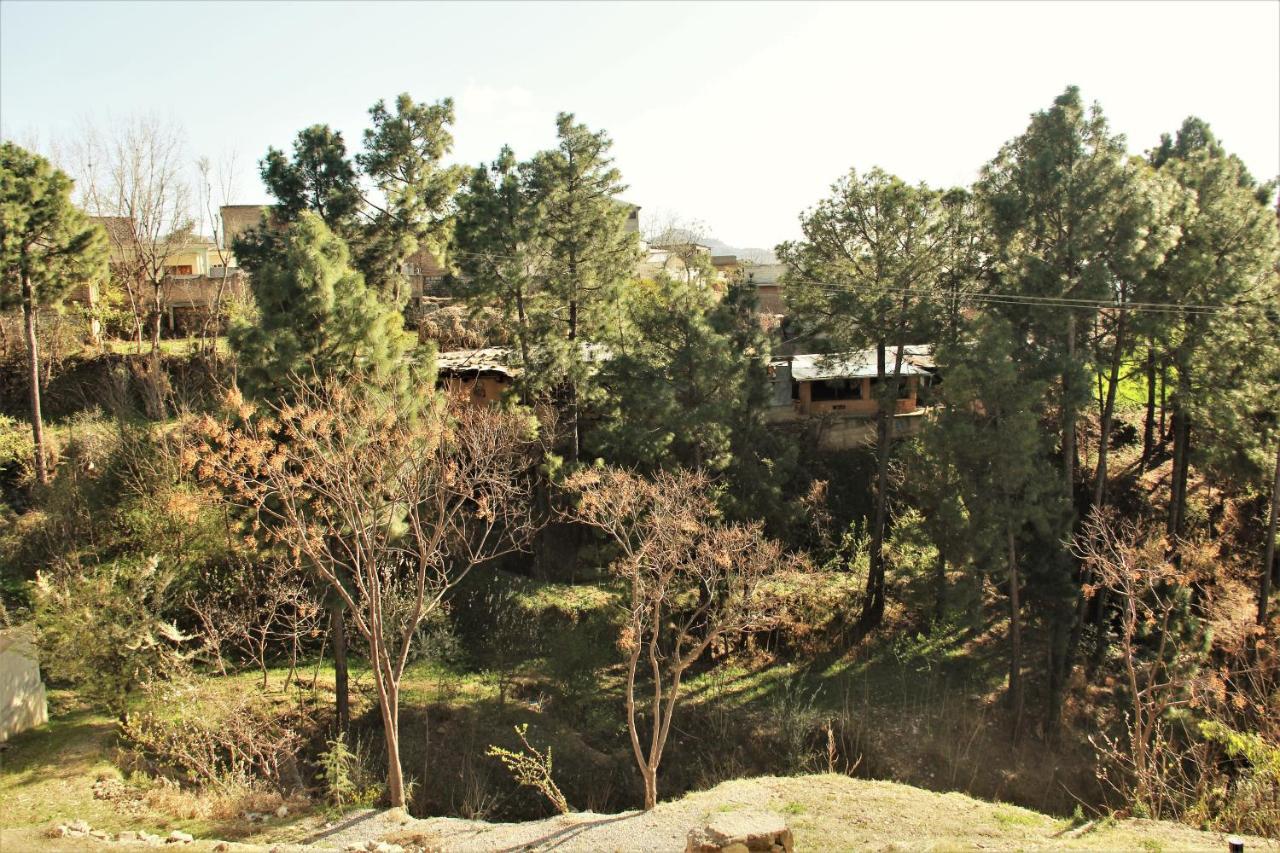 Republika Central Mansehra المظهر الخارجي الصورة